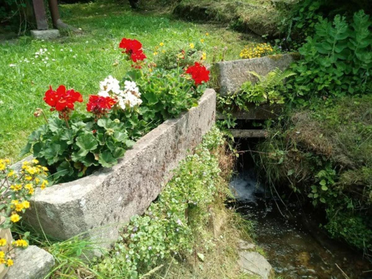 הוילה Raskov Chaloupka Na Konci Sveta מראה חיצוני תמונה
